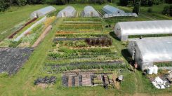 Ferme Floramama
