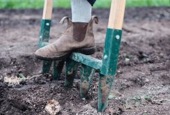 Essential Tools - the flower farm