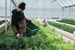 Welcome - winter farming strategies