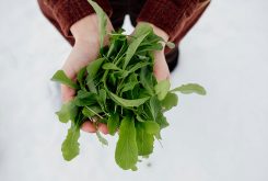 Winter Arugula