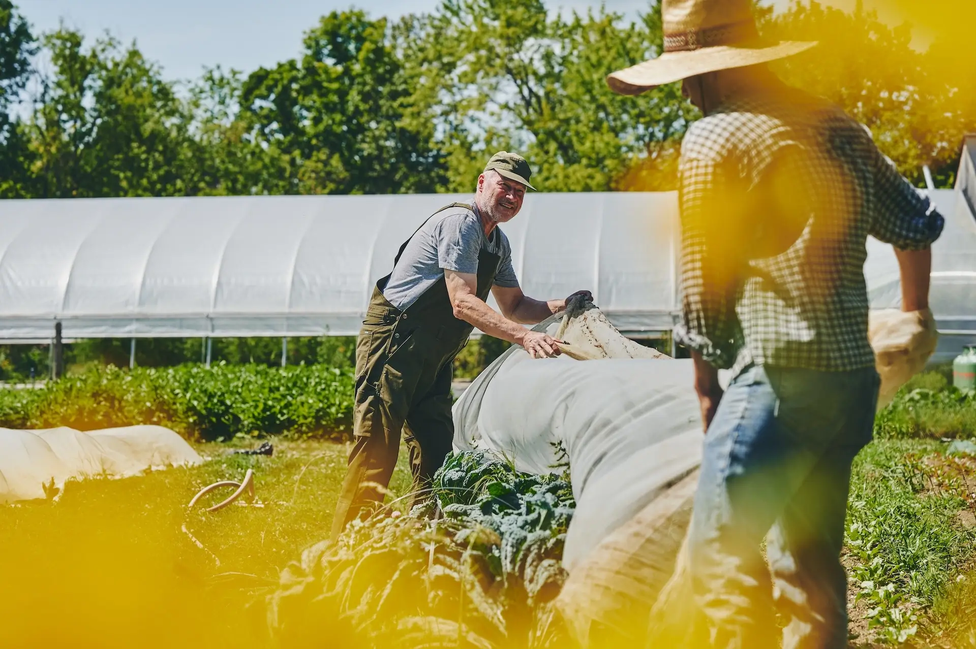 School farm network